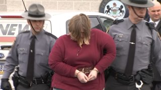 Berks County Mom Arrest Children Killed Lisa Snyder