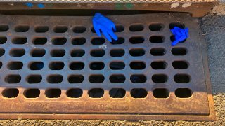 Pair of blue rubber gloves tossed in storm drain during Pandemic, Forest Hills, New York