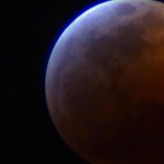 LA_Looks_Up_at_the_Super_Wolf_Blood_Moon_Eclipse.jpg