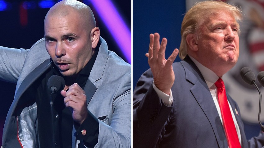 Pitbull-Donald-Trump
