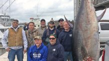 Record bluefin tuna