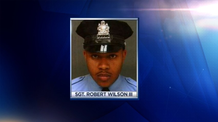 Robert Wilson TLMD