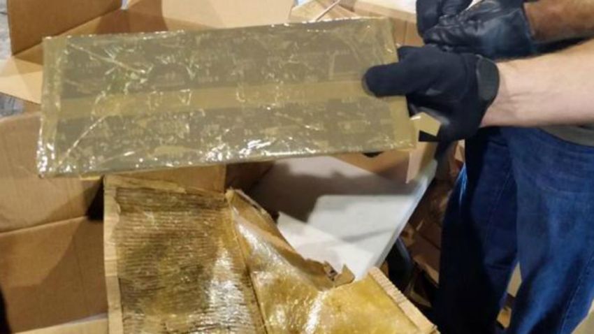 TLMD-filadelfia-incautan-cocaina-entre-calabazas-US-custom-border-