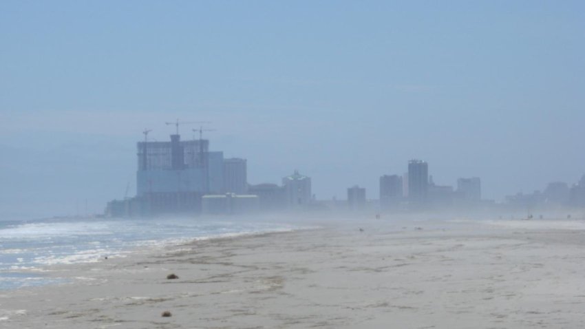 Brant_wx_173