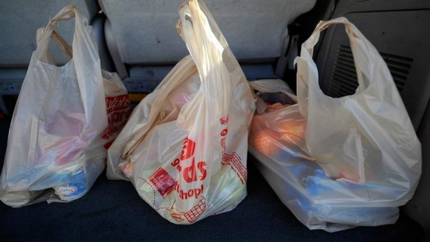 bolsas basura 27 may