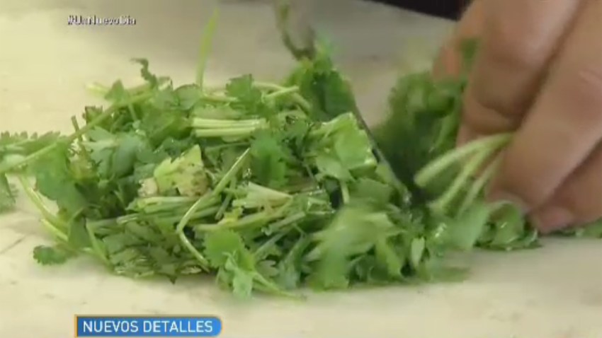 cilantro-contaminado-enferm
