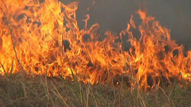 fuego 25 may