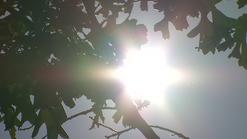 hot sun 13 jul