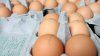 Investigan brote de salmonela en varios estados vinculado con al menos 1,700 millones de huevos
