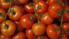 Retiran tomates del mercado por posible contaminación con salmonela