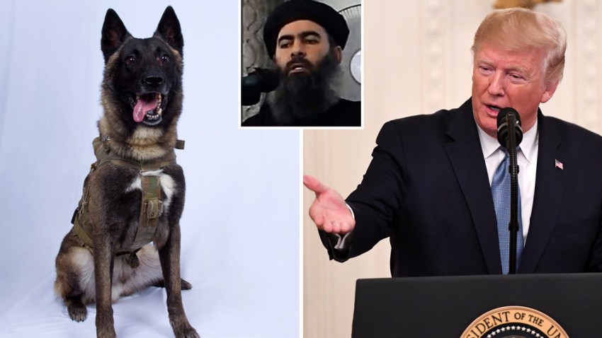 trump-perro-baghdadi-main-12341