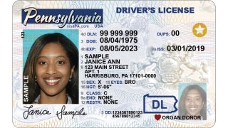 'X" listed as gender on a Pennsylvania driver's license
