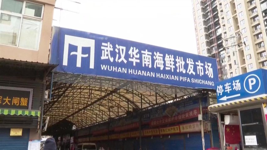 La OMS llega a Wuhan para buscar el origen del virus