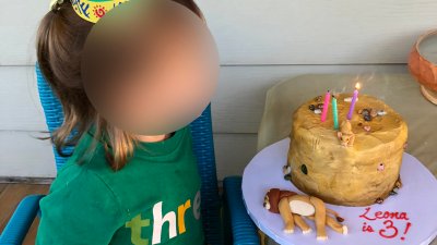 Insólito motivo: niña pidió un pastel de cumpleaños con triste escena de  “El Rey León” – Telemundo 62