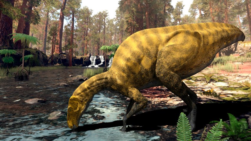 Video: descubren en España los restos de una especie desconocida de dinosaurio