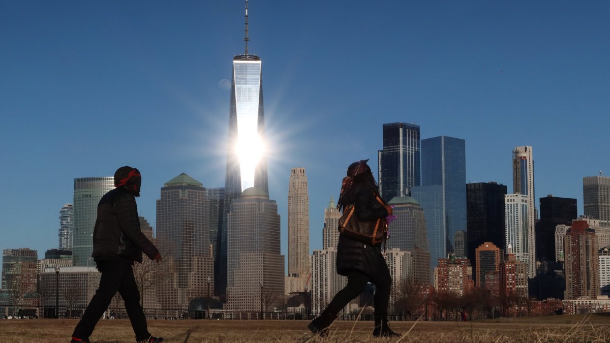 Hundreds of songbirds die when they crash into New York skyscrapers – NBC 62