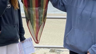 A tossed-out bathing suit left on Jersey Shore