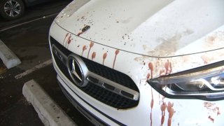 Blood splattered on hood of car