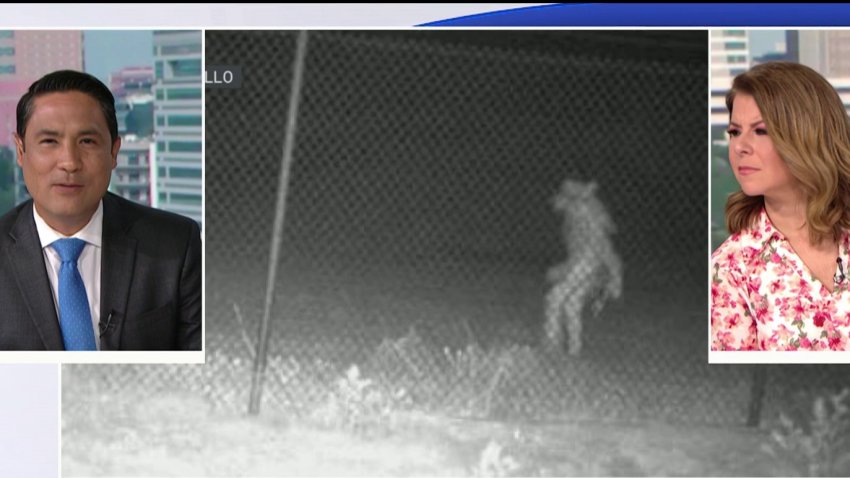 Entonces, ¿qué es la extraña figura que apareció cerca de zoológico en Texas?