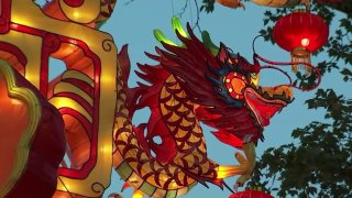 A red and gold dragon lantern