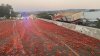 En video: un camión se vuelca y deja cientos de tomates regados sobre una autopista