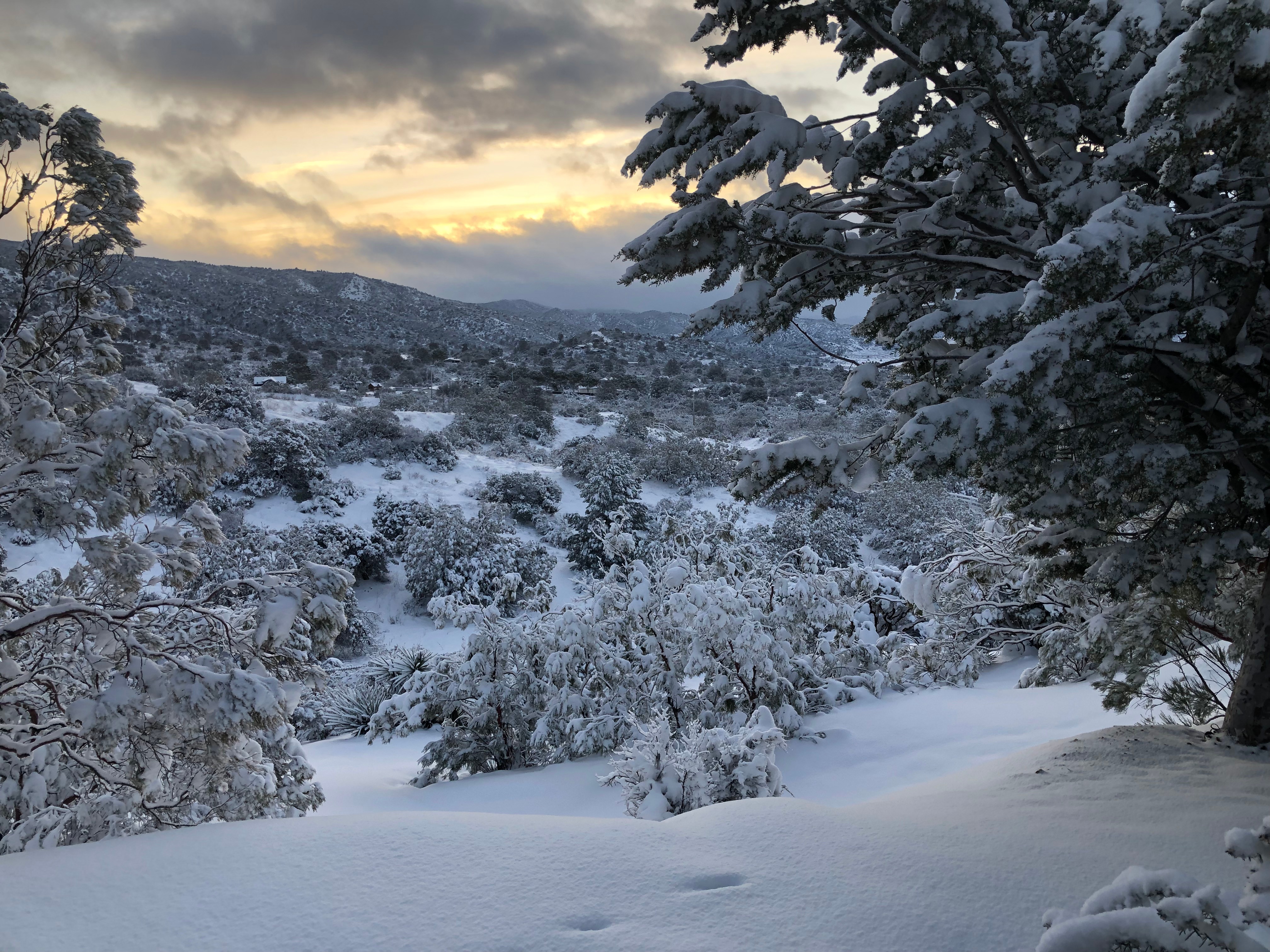 En fotos: tormenta cubre de nieve a zonas de California