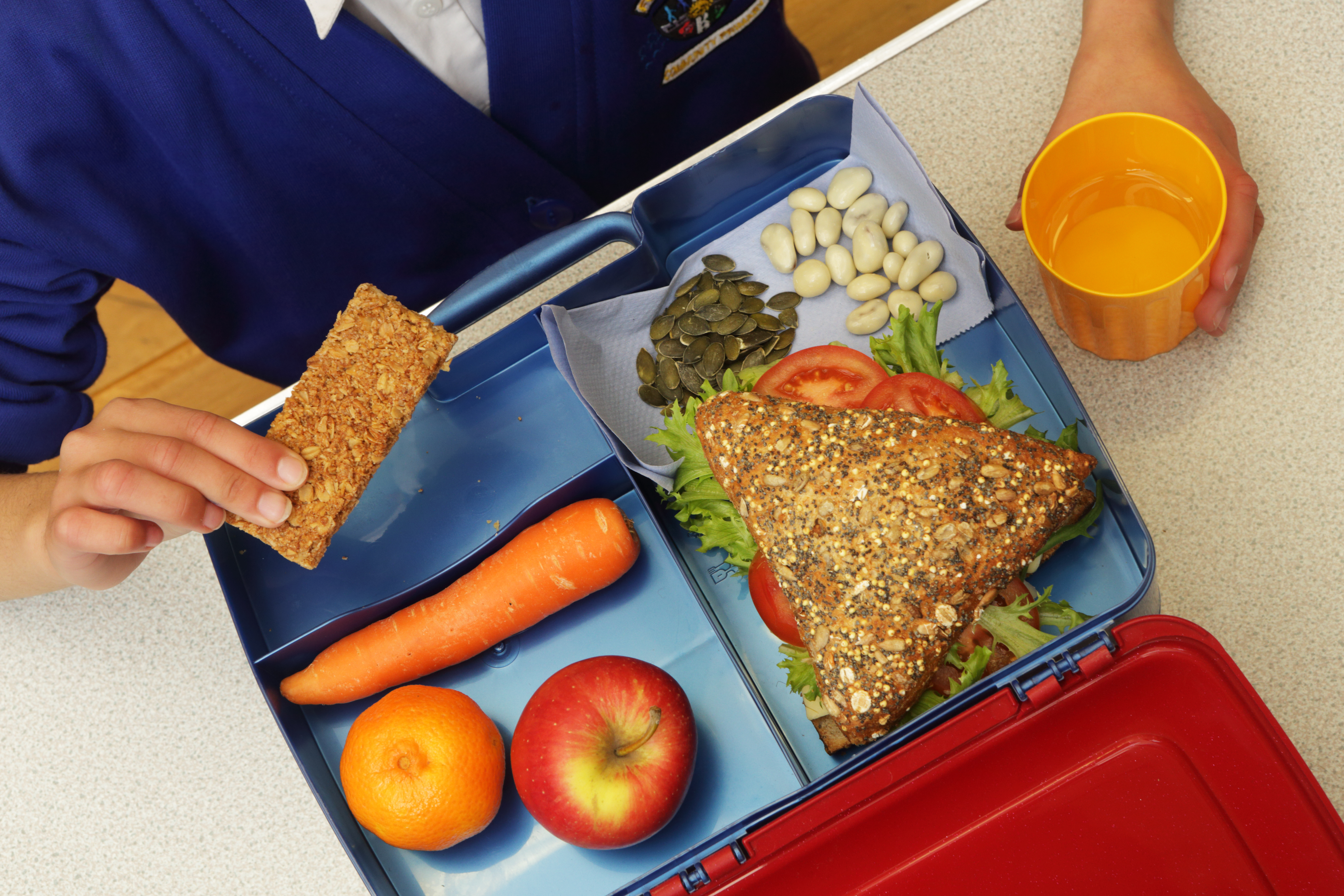 Salud niños: Con estos productos evitarás el BPA en el almuerzo de tus  hijos en la vuelta al cole
