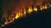 Sigue ardiendo incendio forestal en NJ: culminan los desalojos y persisten los cierres