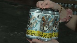 4-pack of Found Friends beer in a woman's hands