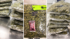 Decomisan 21 libras de marihuana en la maleta de pasajera de Filadelfia a Londres