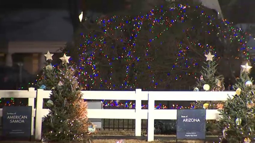 The fallen National Christmas Tree on the Ellipse