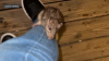 Habla protagonista de video viral que grabó a una rata trepando por su pierna