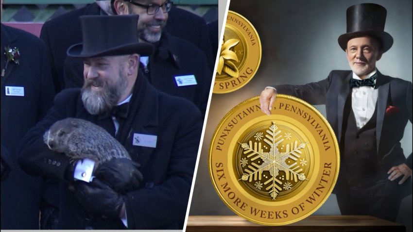 La quieren jubilar: PETA pide sustituir a “Phil” la marmota por una moneda de oro