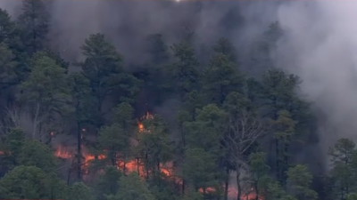 T62 al momento: incendio forestal en el bosque estatal de Wharton, entre Burlington y Camden County, NJ