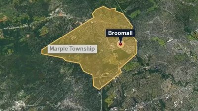 Atrapan coyote tras múltiples avistamientos en Delaware County
