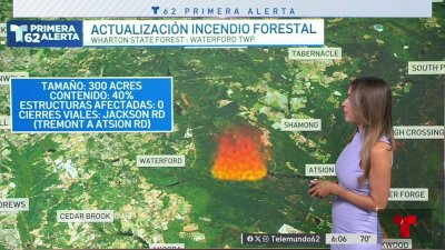 Datos importantes sobre los fuegos forestales en NJ