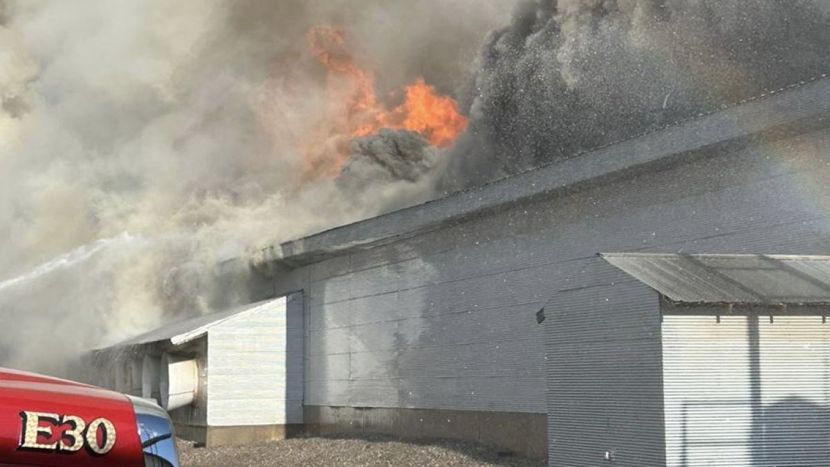 Condado Cache: Mueren Quemados Pollos En Un Incendio – Telemundo 62