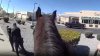 De película: policías a caballo persiguen y detienen al sospechoso de robar un Walgreens