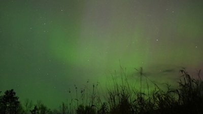 Auroras boreales se iluminan en cielos nocturnos
