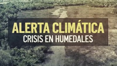 Alerta climática: Crisis en los humedales