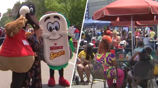 Woman poses with Wawa mascots next to split image of people sitting at picnic tables with umbrellas.