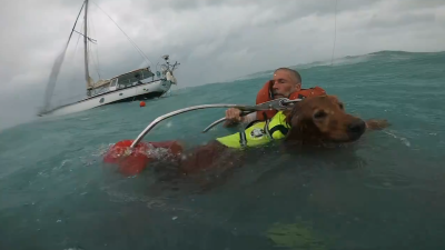 En video: rescatan a hombre y su perro en medio del mar durante el huracán Helene