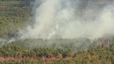 Segundo fuego forestal en NJ en lo que va de semana