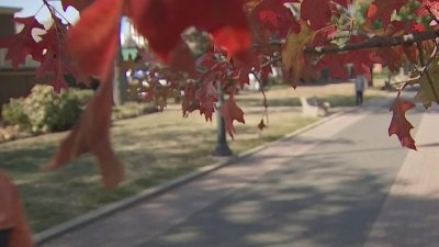 Residentes sorprendidos por el tiempo cálido durante el otoño