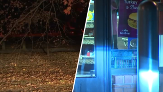 Split image shows dark Collingswood park and door to Wawa store