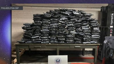 Decomisan más de 100 libras de marihuana en condado Delaware