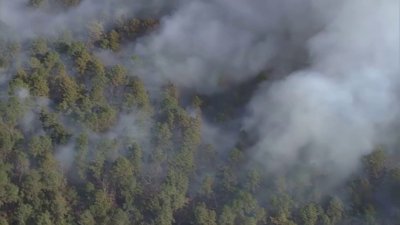 En video: fuego forestal en Burlington County