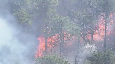 Fuego forestal amenaza 50 estructuras en NJ