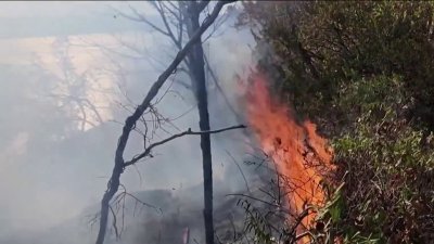 Incendios forestales continúan en medio de una sequía en NJ