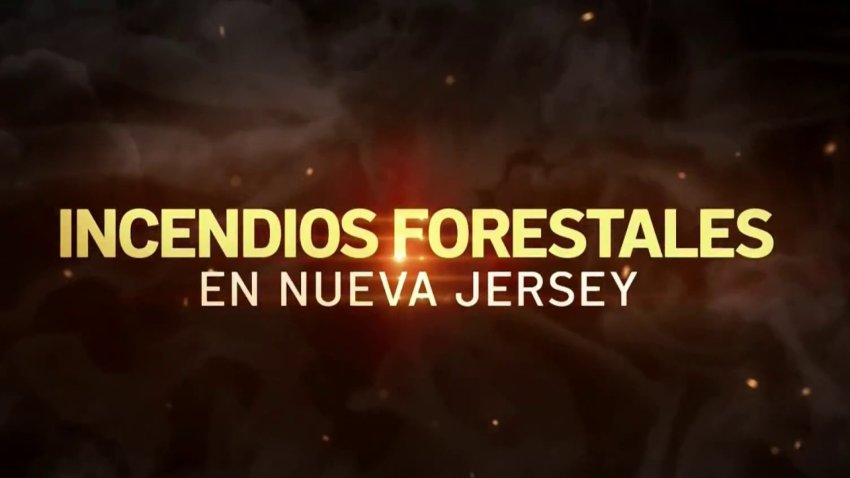 Fuegos forestales en NJ: ¿Cuáles son los daños que han causado?